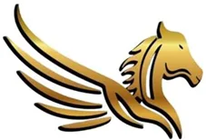 Buraq Logistik
